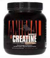 ANIMAL CREATINE PURE 500G MONOHYDRAT KREATYNA USA