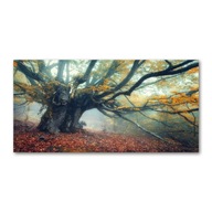 Panel ochronny Stare drzewo 120x60 cm + KLEJ