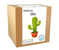 Zestaw do uprawy KAKTUSY - MIX kaktus sukulenty