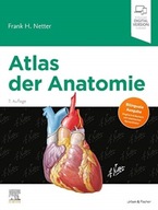 Atlas der Anatomie: Deutsche UEbersetzung von