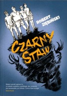 Czarny staw - Robert Ziębiński