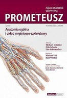 Atlas anatomii człowieka PROMETEUSZ Tom 1 Anatomia