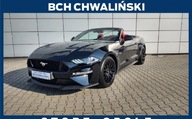 Ford Mustang Mustang Cabrio 5,0 V8 AUT. 10 Opole