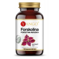 Forskolin - Žihľava indická - 90 kaps YANGO