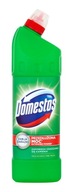 Domestos Predĺžený výkon Čistiaca a dezinfekčná WC voda Pine Fresh