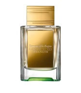 Ermenegildo Zegna Wisdom EDP 50ml