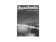 Auschwitz - Praca zbiorowa