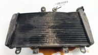 chladič vody TRIUMPH SPEED TRIPLE 1050