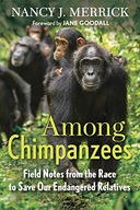 Among Chimpanzees: Field Notes from the Race to