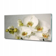 Obraz grafika pre obývaciu izbu veľký Biela orchidea