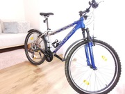 Rower MTB Centurion Backfire 40 