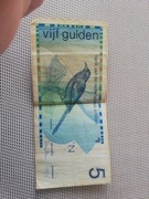 Banknot 5 guldenów antyle holenderskie