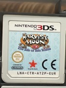 Gra Harvest Moon: The Tale Of Two Towns 3DS