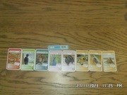 Biedronka Super Zwierzaki 8 kart