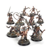 Warhammer Age of Sigmar Warcry: UNTAMED BEASTS