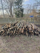 Drewno opałowe dąb 300zl/mp