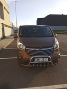 Wynajem busa 8-osobowy. Opel Vivaro. Z kierowcą