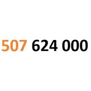 507 624 000 starter orange złoty numer #L 
