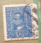 Znaczek nr 240 - 1920-1929