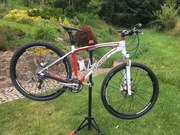 Specialized stumpjumper HT 29”