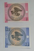 zestaw banknotów 1 i 50 tyiyn . Kirgistan , 2 szt.
