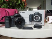 Lustrzanka cyfr Canon EOS10D + obiektyw ultrasonic