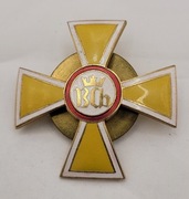 17 Pułk Ułanów Wielkopolskich - odznaka
