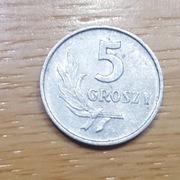 Moneta Polska 5 groszy 1962 r  