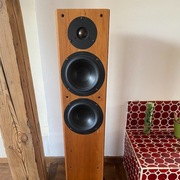 TANNOY REVOLUTION R2 - KOLUMNY GLOSNIKOWE