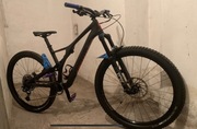 Specialized Stumpjumper29/ Carbon/2020/L size/FOX/