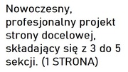 Profesjonalny projekt strony.(1 STRONA / ONE PAGE)