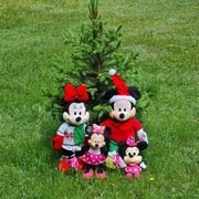 Oryginalne zabawki Disney+ Miki Mouse Family