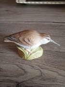 figurka porcelana angielska Aynsley ptak kolekcja 