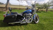 Harley Davidson Sportster 1200 xl