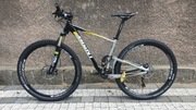 Giant Anthem X 29er 1 2x10 full xc 29 r. M 12,2 kg