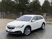 Opel Insignia 2.0 /CROSS COUNTRY/Automat/OPC/FULL