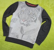 NEXT bluza z tygrysem r. 140