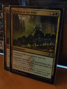 Rhythm of the Wild [MTG]