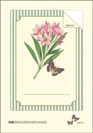 Dekoratívne samolepky Rossi, motýľ (6 ks)