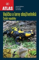 Vajíčka a larvy obojživelníků České republiky Jaromír Maštera; Vít Zavadil;