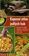 Kapesní atlas jedlých hub Daniel Dvořák; Oldřich Jindřich; Aleš Vít
