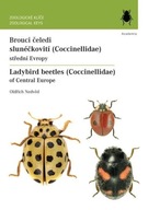 Brouci čeledi slunéčkovití (Coccinellidae) střední