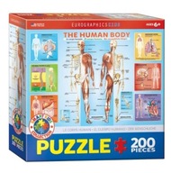 Puzzle 100 elementów. Smartkids. The Human Body