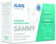 Vitamínové sady pre psa Alavis želatínové kapsule
