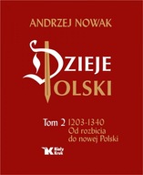 Dzieje Polski. Tom 2. Od rozbicia do nowej Polski