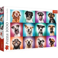 Puzzle Vtipné psie portréty 2000 dielikov.