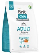 BRIT CARE GRAIN FREE ADULT SALMON 3KG