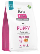 Brit Care Grain-Free Puppy Salmon / Losos pre šteňatá 3kg