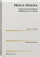 Praca zdalna Komentarz do nowelizacji kodeksu pracy wraz ze wzorami