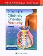 Moore s Clinically Oriented Anatomy Dalley II Arthur F. PhD FAAA ,Agur Anne
